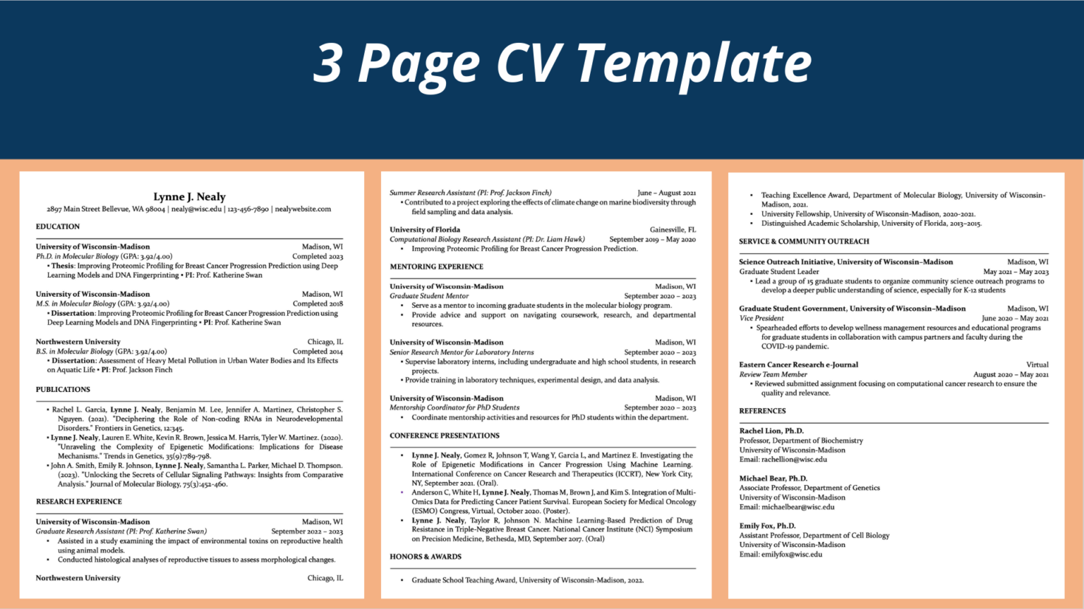 Postdoctoral CV Template TempaLyst